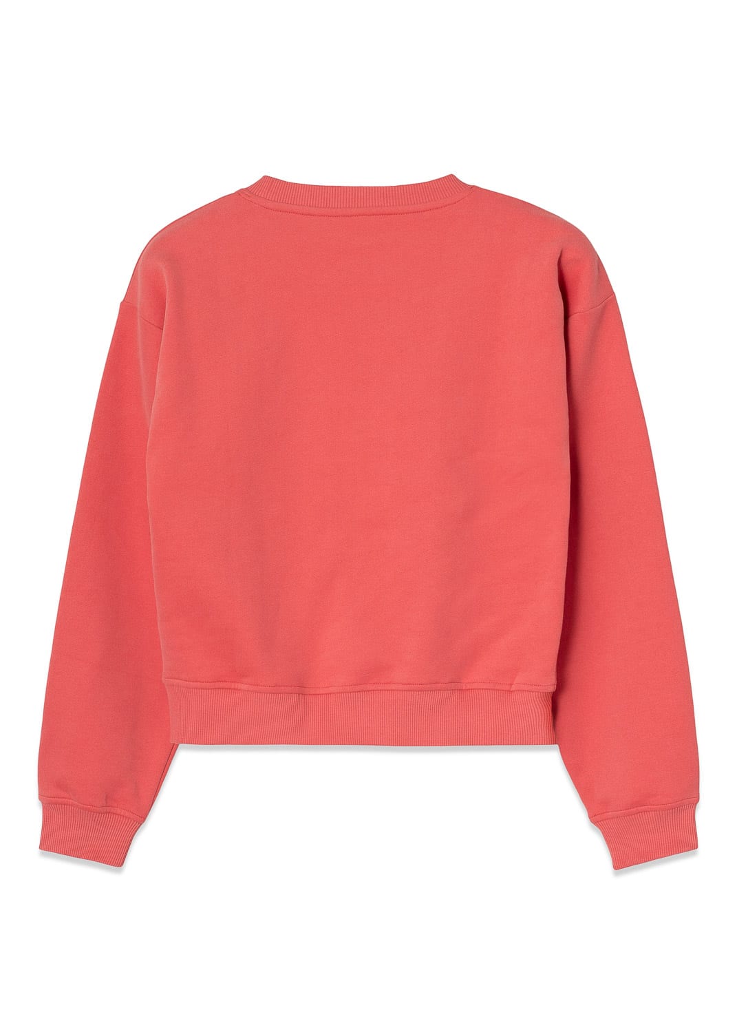 Upward Crewneck