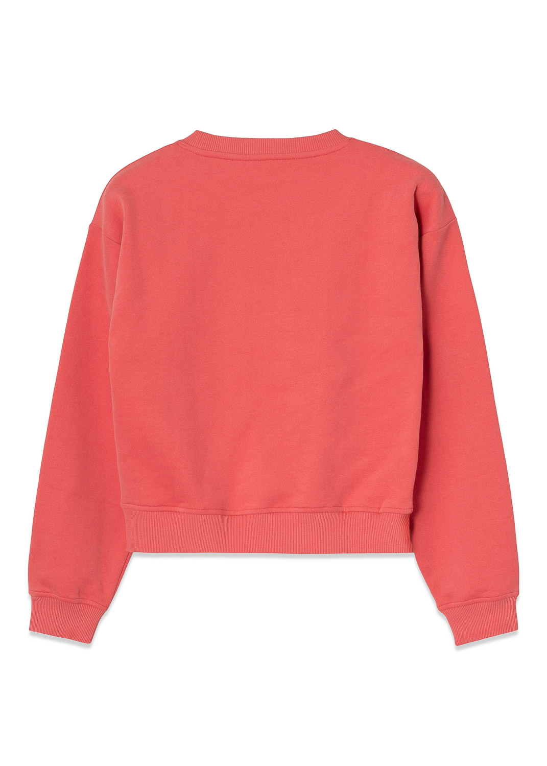 Upward Crewneck